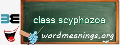 WordMeaning blackboard for class scyphozoa